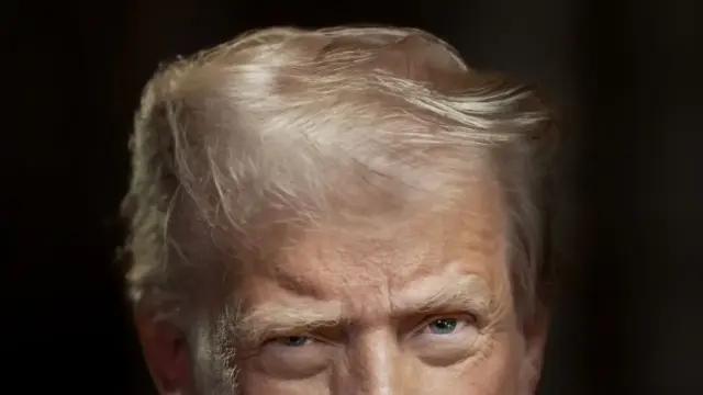 us-news-trump-commission-electorale-midterms-2026-10-juillet-2026